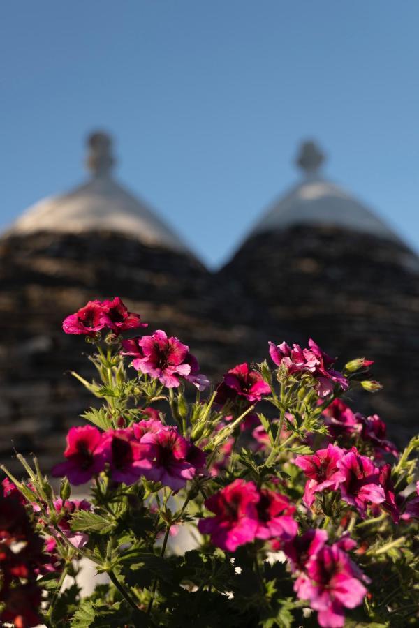 Villa Trulli Ulivi à Putignano Extérieur photo
